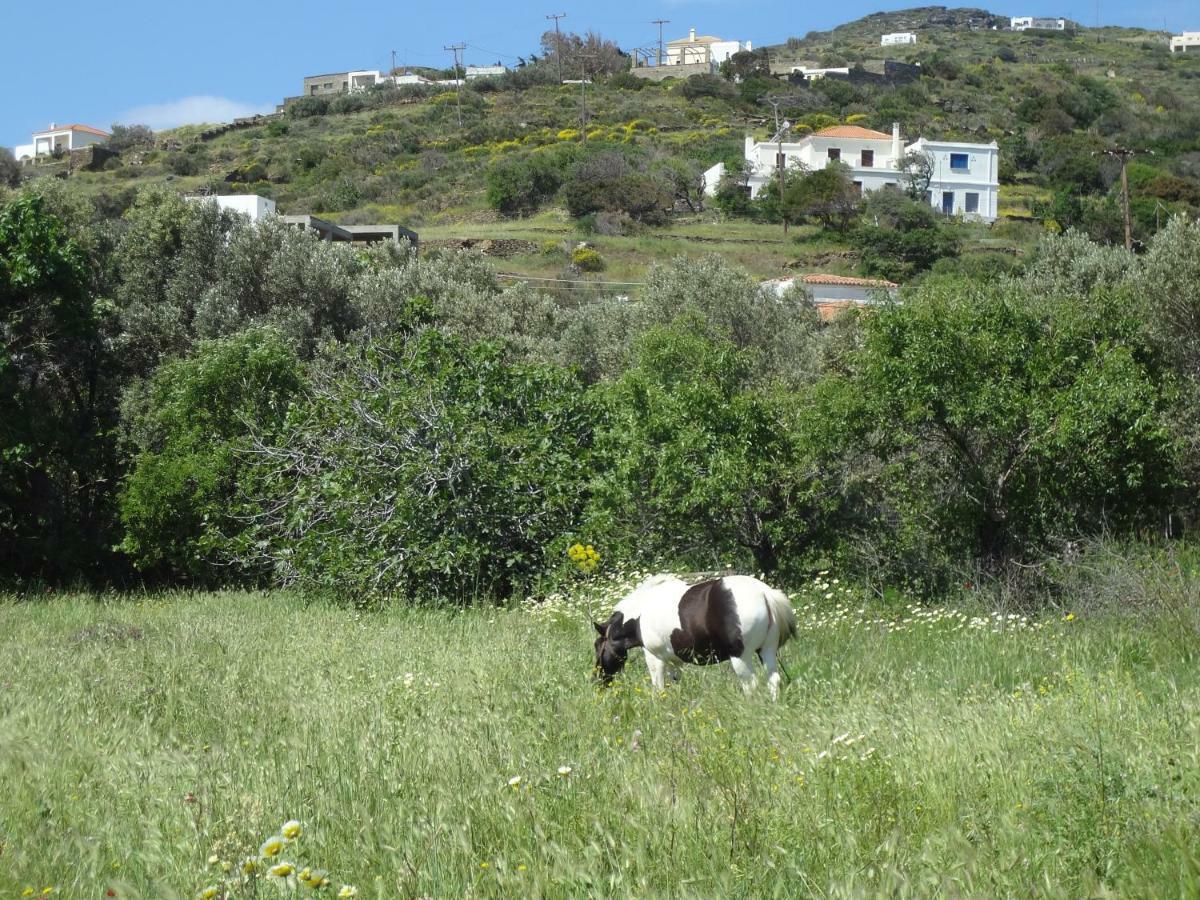 Korthi Central Appartment By The Seaside. Όρμος Εξωτερικό φωτογραφία